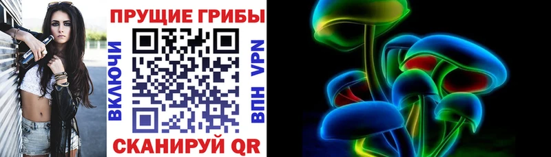 Галлюциногенные грибы мицелий  Купить закладки  Шимановск 